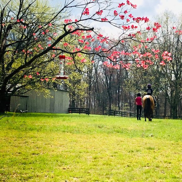 Heart Diamond Farm - Picture 2 of 15